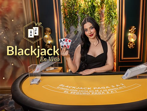 VIP Blackjack en Español 9 screenshot