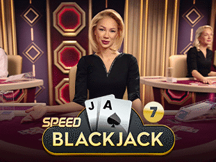 Speed Blackjack 7 screenshot